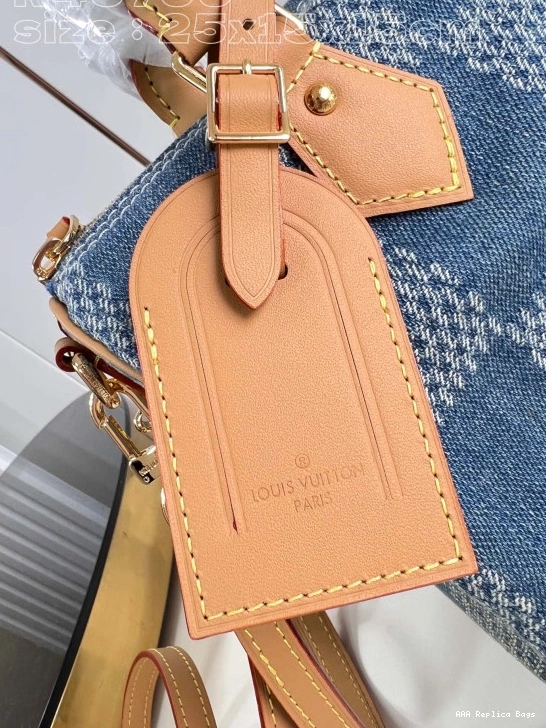 Aaa replica ru 25 SPEEDY Louis Vuitton 0824